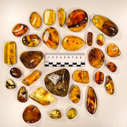 Hand Polished Amber WHOLESALE (AM-104)