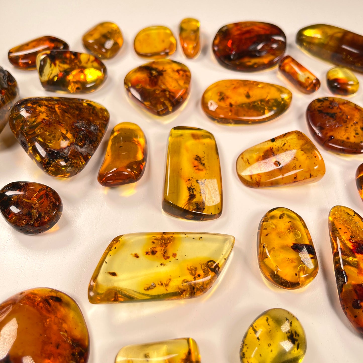 Hand Polished Amber WHOLESALE (AM-104)