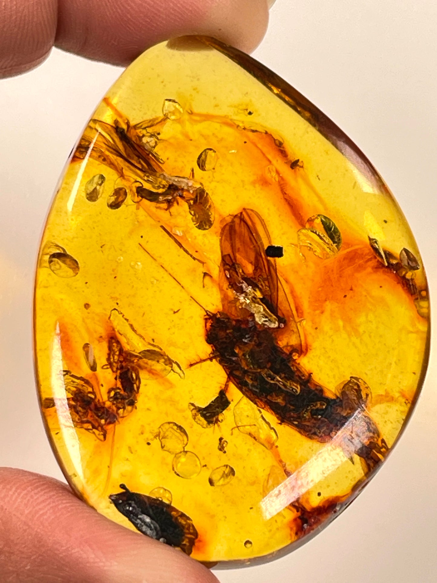 Hand Polished Amber WHOLESALE (AM-104)