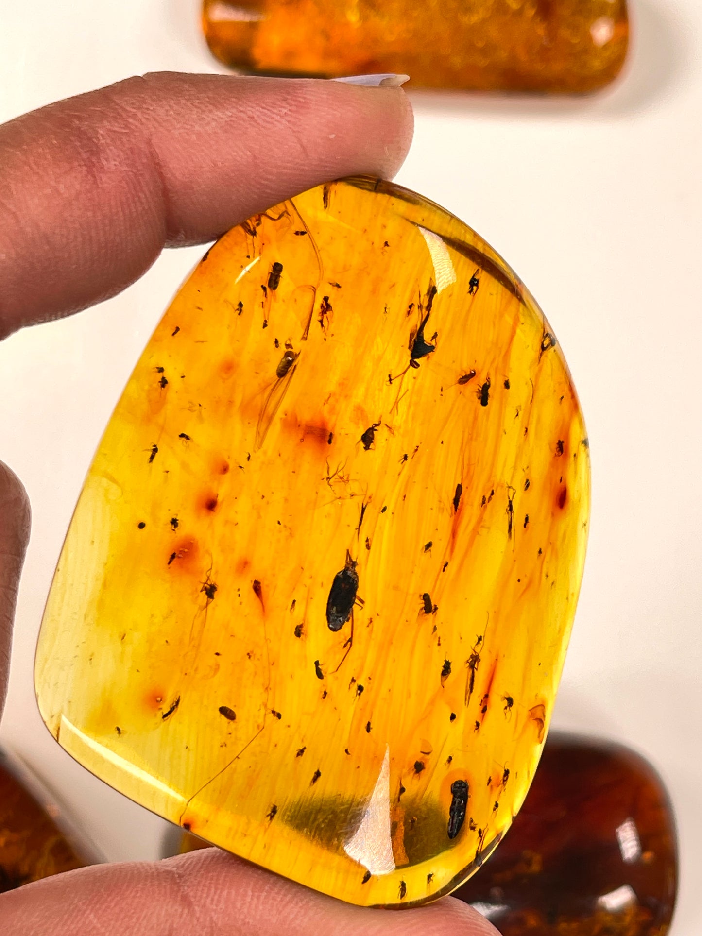 Hand Polished Amber WHOLESALE (AM-103)