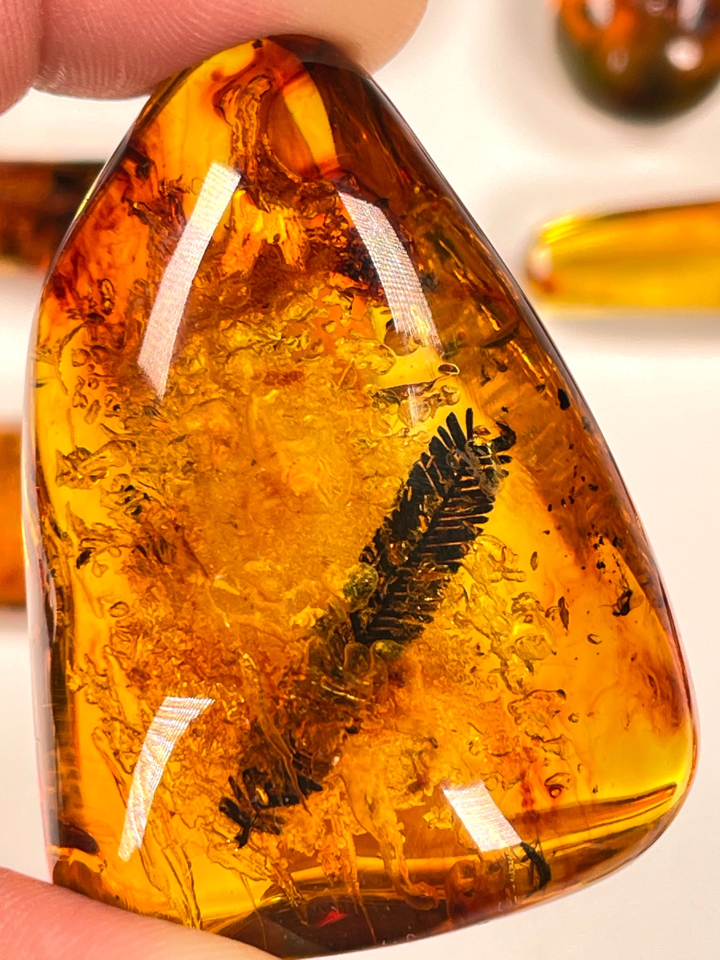 Hand Polished Amber WHOLESALE (AM-103)