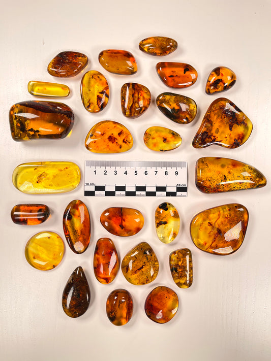 Hand Polished Amber WHOLESALE (AM-101)