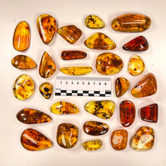 Hand Polished Amber WHOLESALE (AM-100)