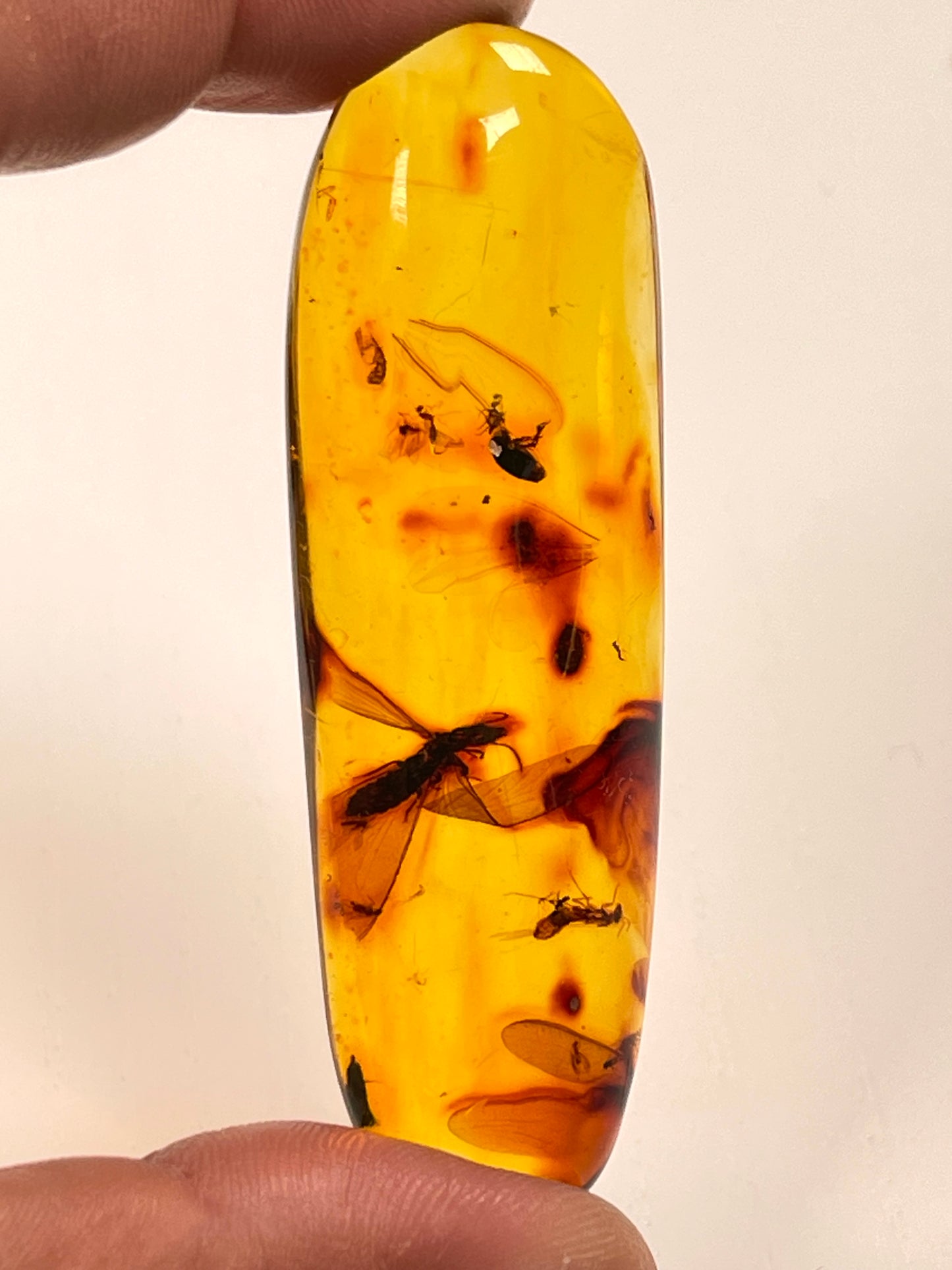 Hand Polished Amber WHOLESALE (AM-102)