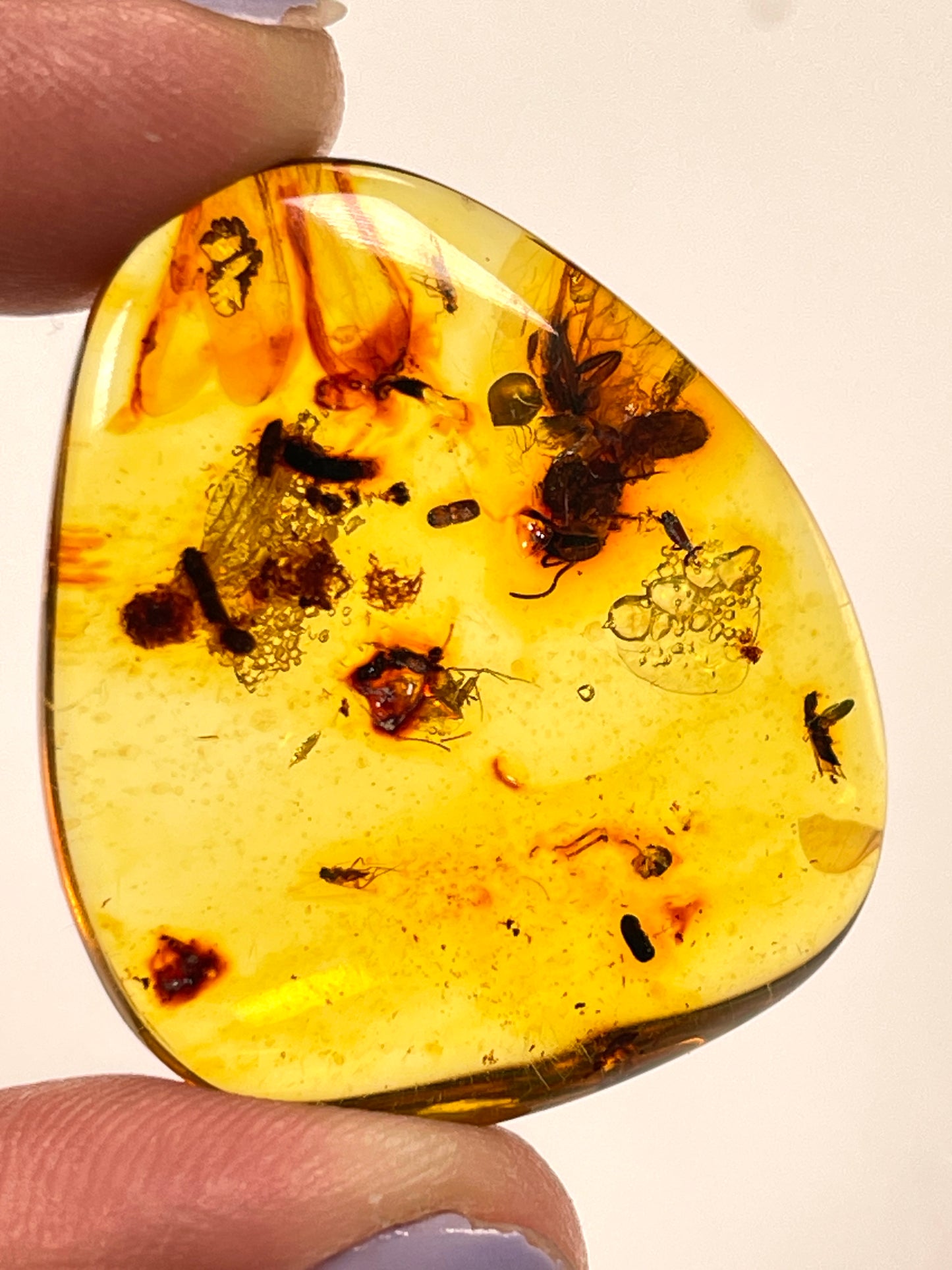 Hand Polished Amber WHOLESALE (AM-102)