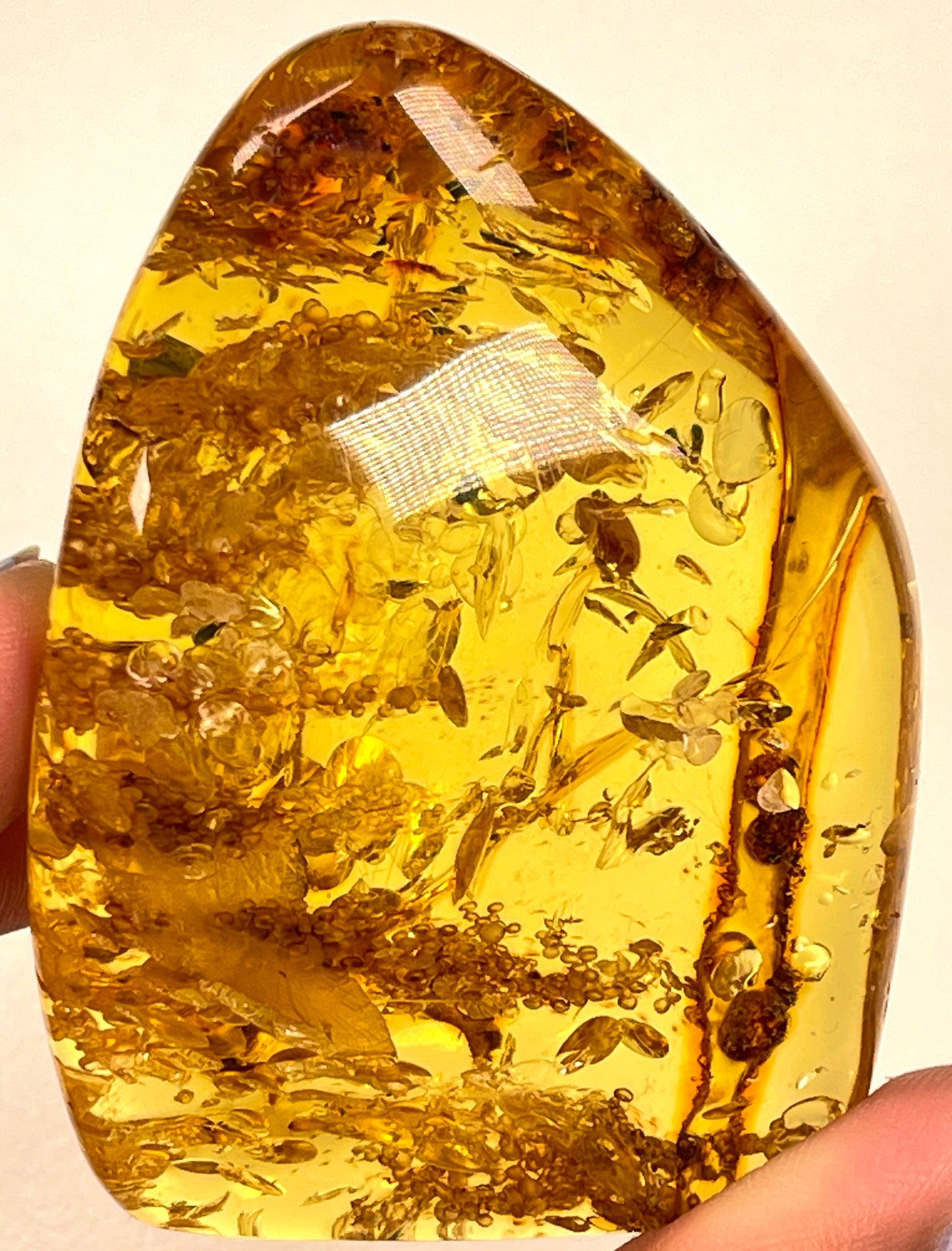 Hand Polished Amber Medium size WHOLESALE (AM-108)