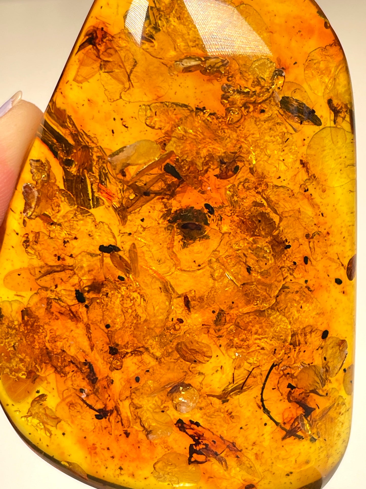 Hand Polished Amber Medium size WHOLESALE (AM-108)