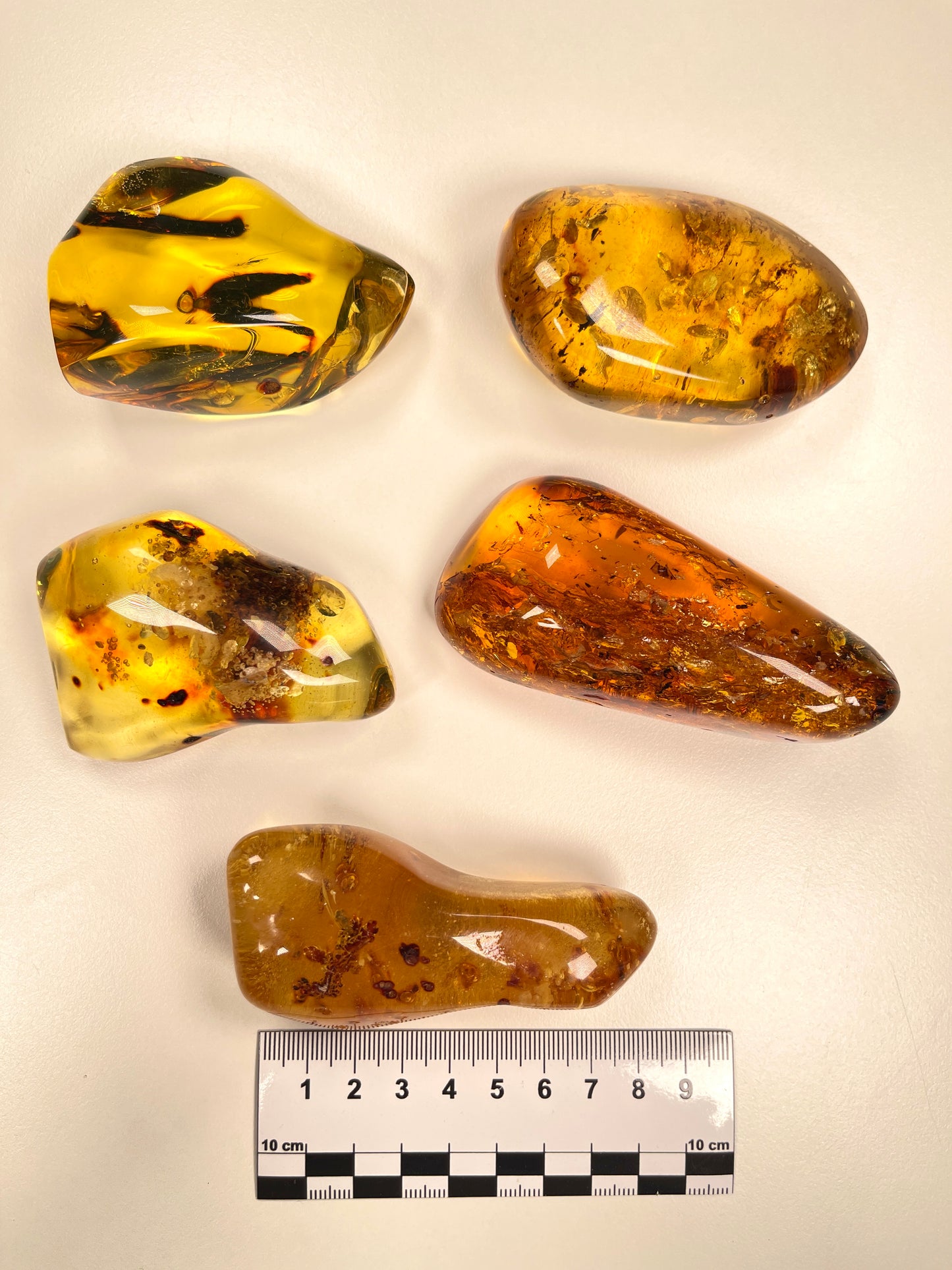 Hand Polished Amber Medium size WHOLESALE (AM-109)