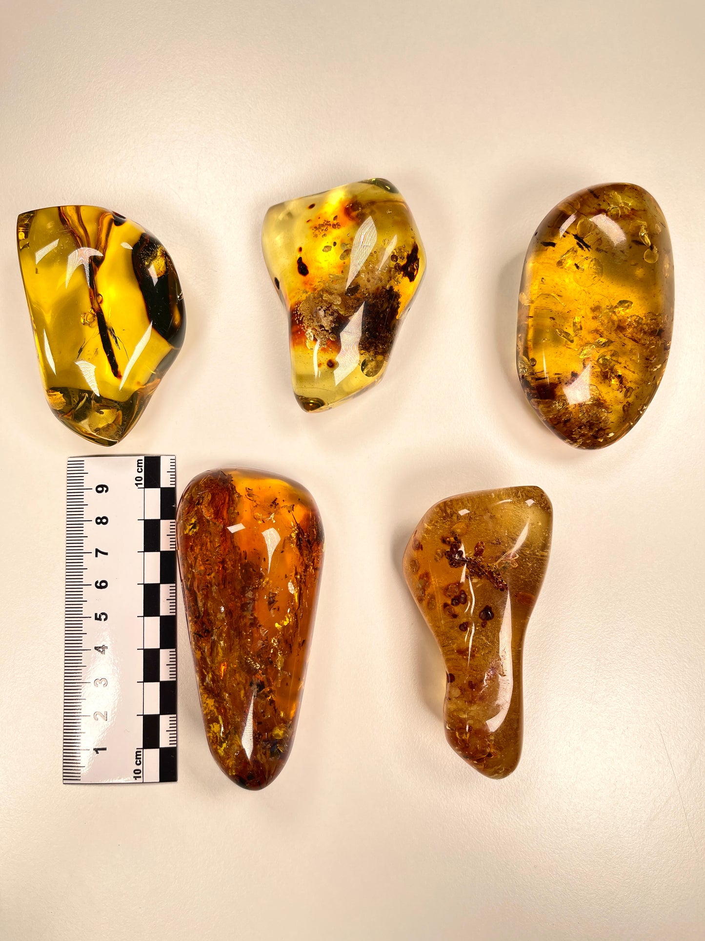 Hand Polished Amber Medium size WHOLESALE (AM-109)