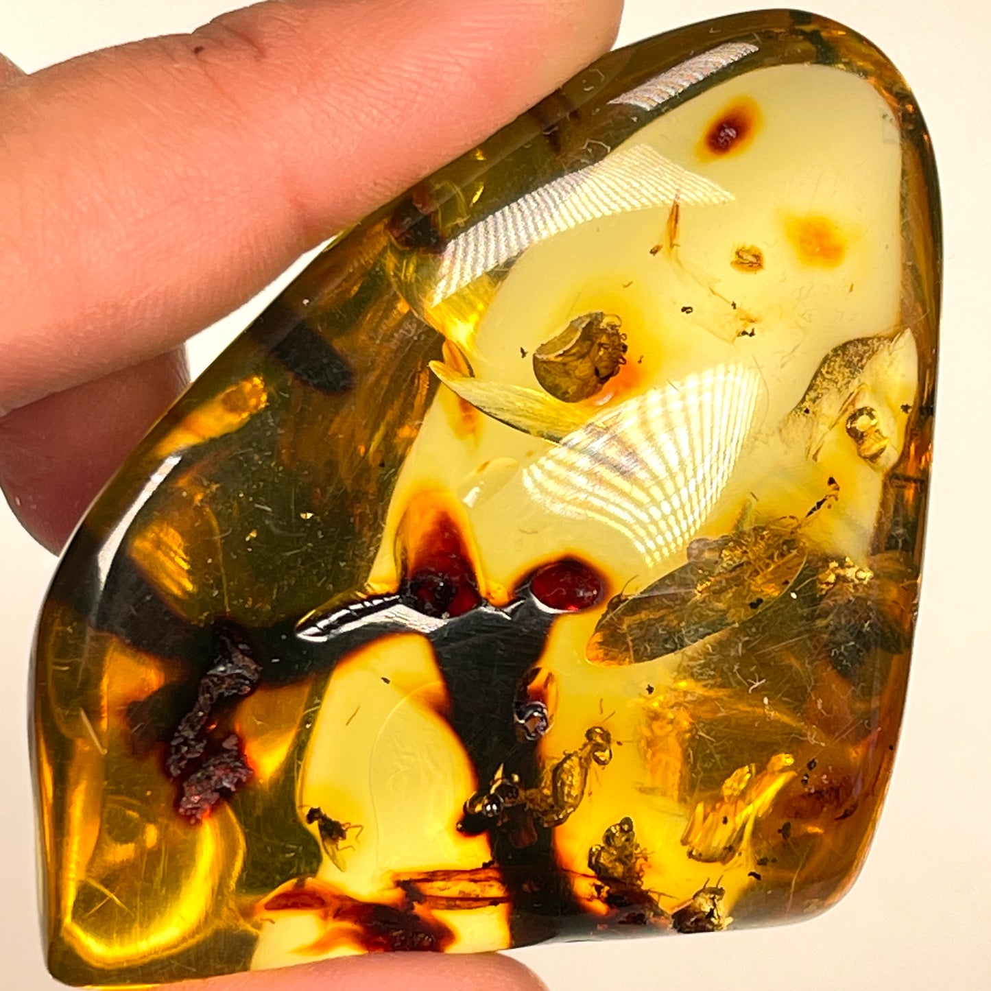 Hand Polished Amber Medium size WHOLESALE (AM-119)