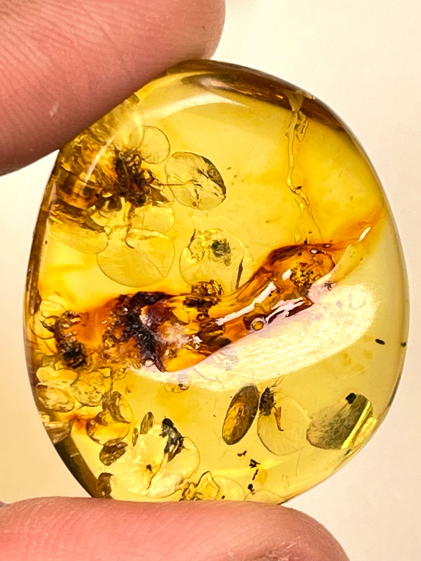 Hand Polished Amber Medium and Small size WHOLESALE (AM-121)