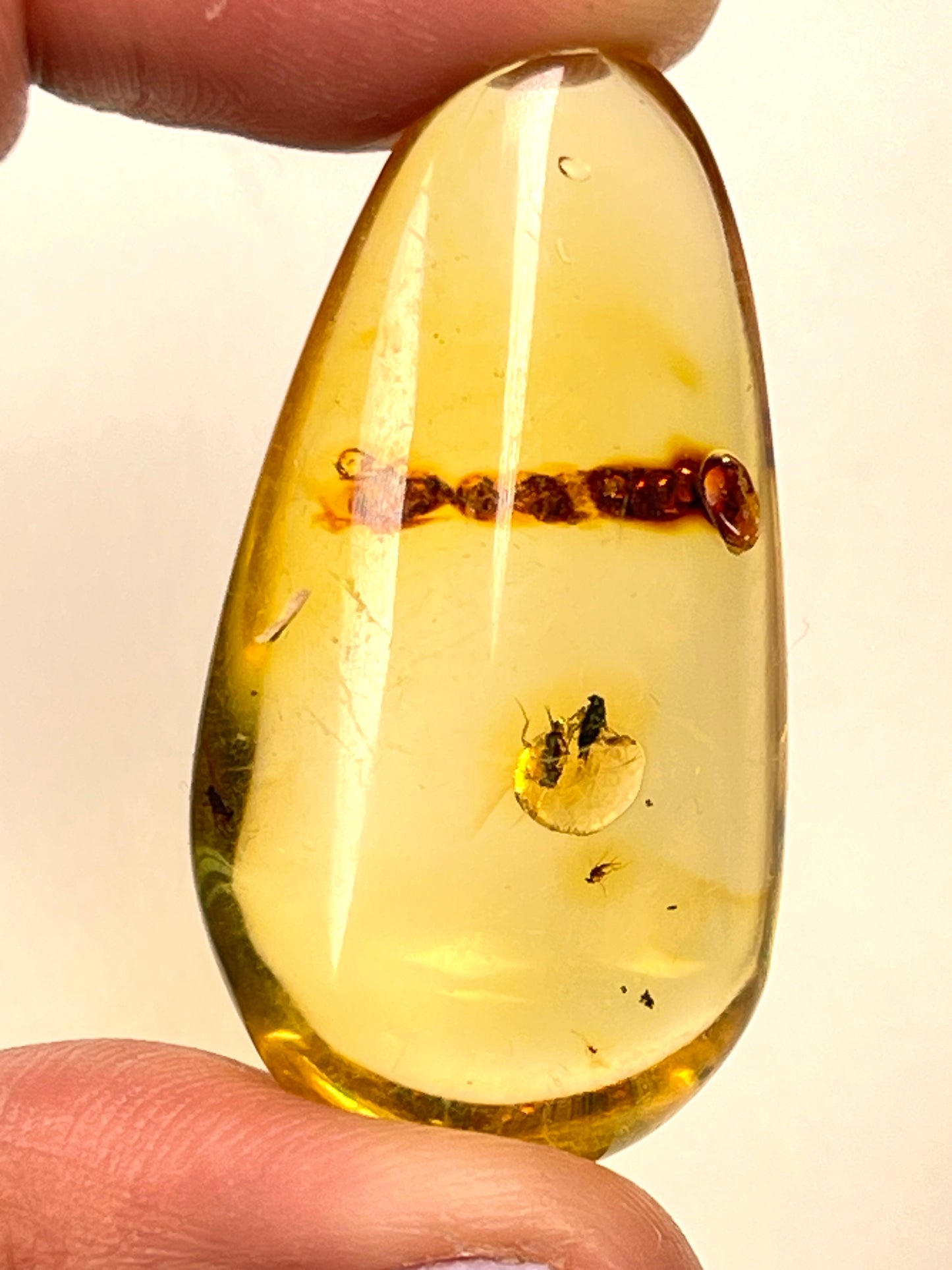 Hand Polished Amber Medium and Small size WHOLESALE (AM-114)