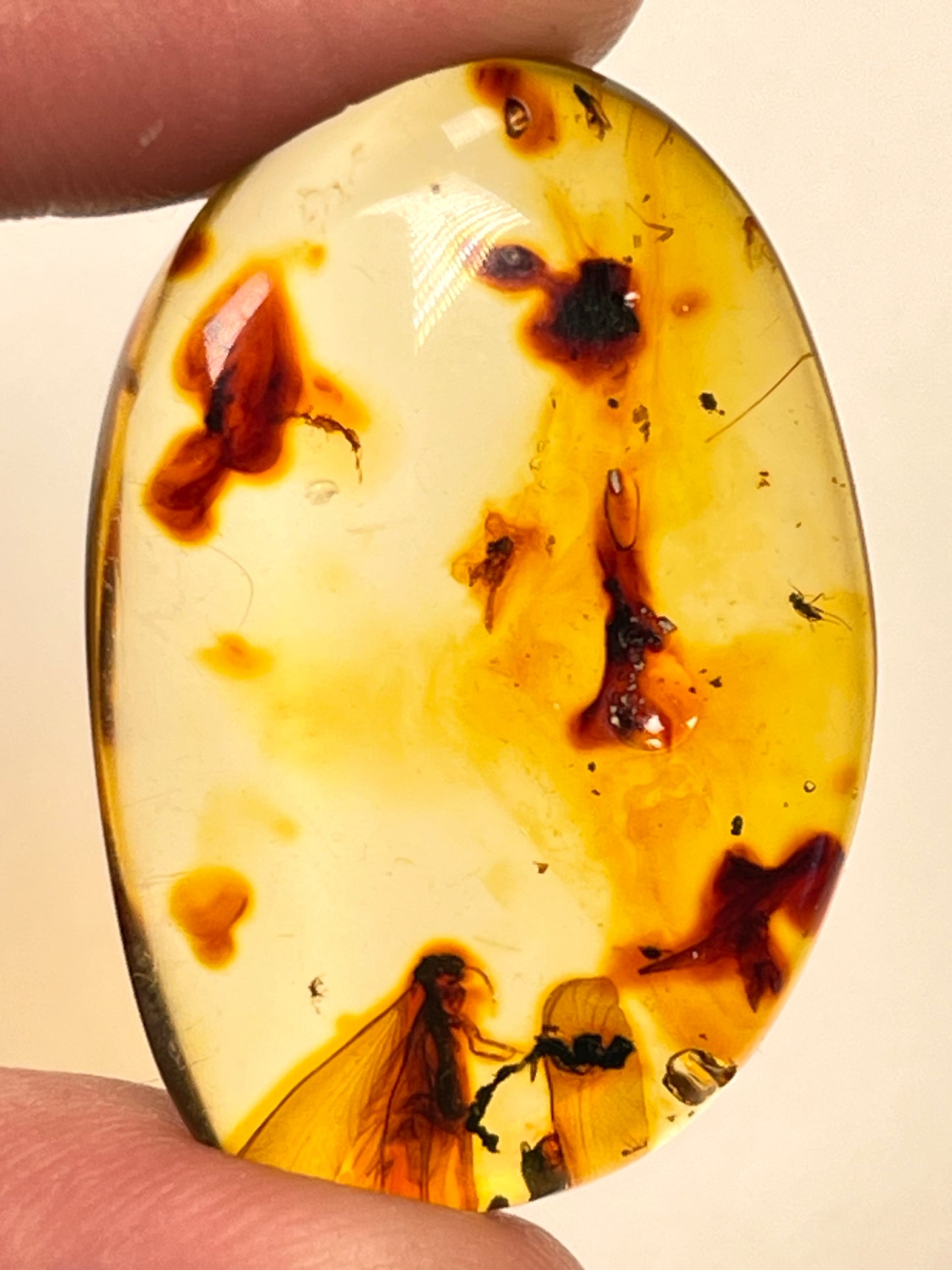 Hand Polished Amber Medium and Small size WHOLESALE (AM-114)