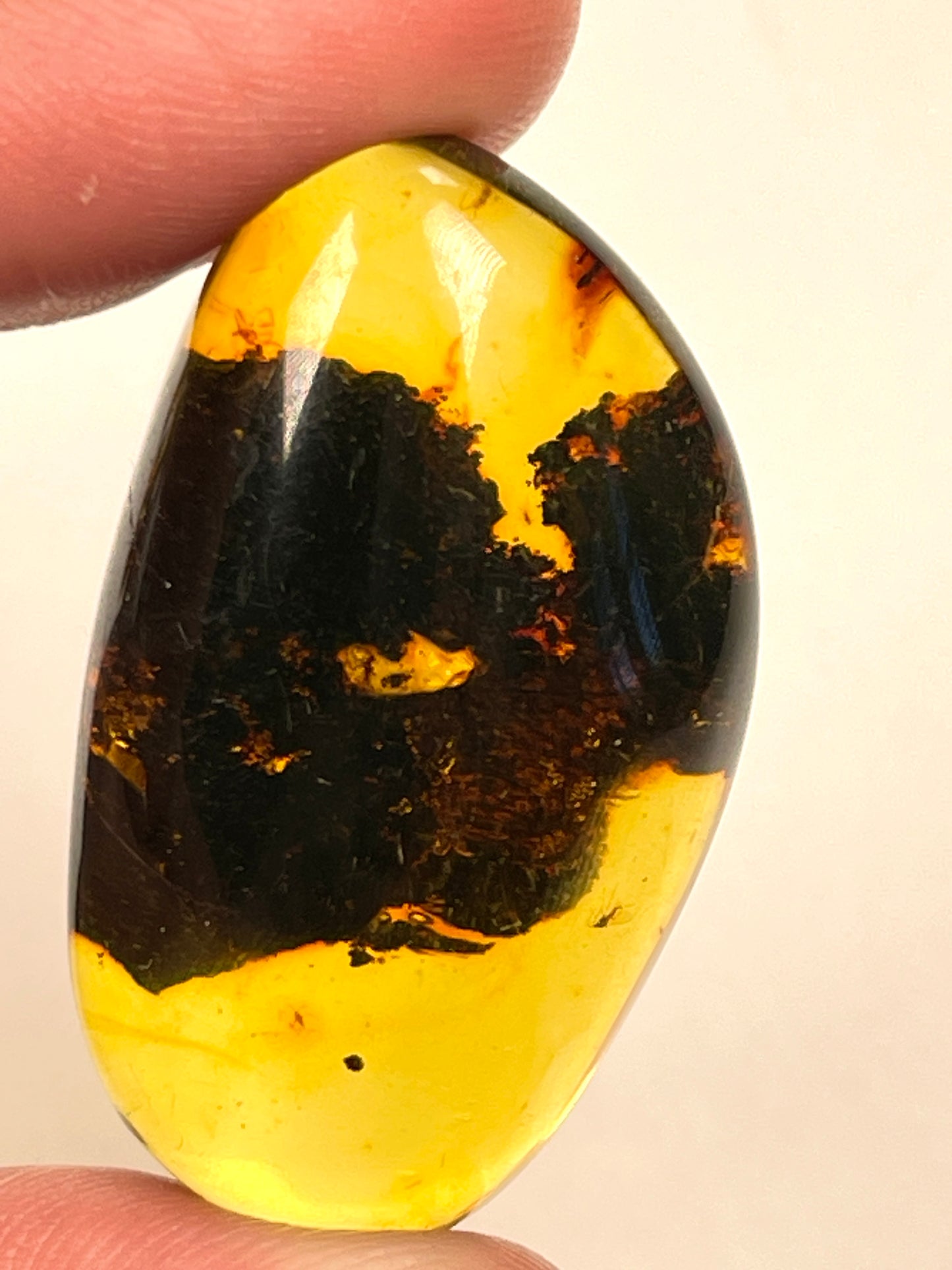 Hand Polished Amber Medium and Small size WHOLESALE (AM-114)