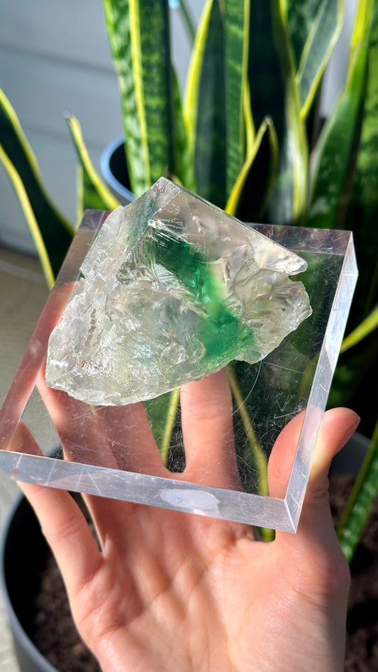 Green Phantom Yttrium Fluorite. Peñas Blancas Mine (LOT: GF-178)