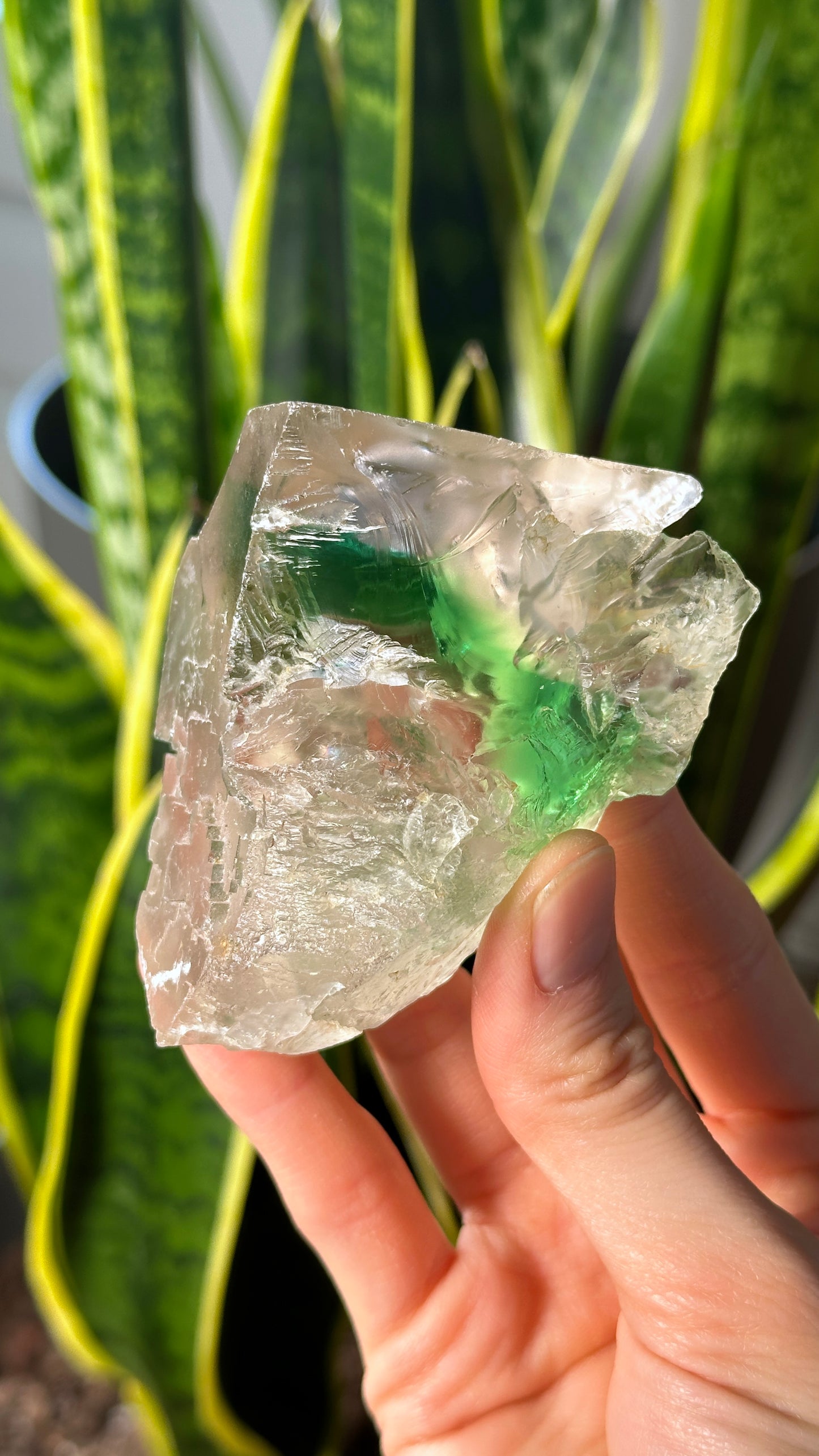 Green Phantom Yttrium Fluorite. Peñas Blancas Mine (LOT: GF-178)