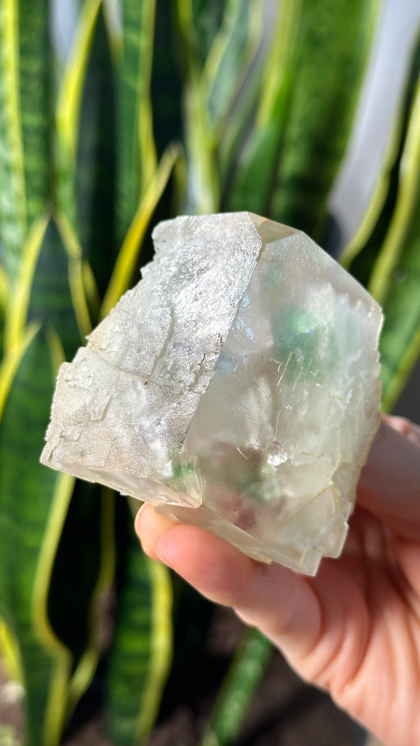Green Phantom Yttrium Fluorite. Peñas Blancas Mine (LOT: GF-174)