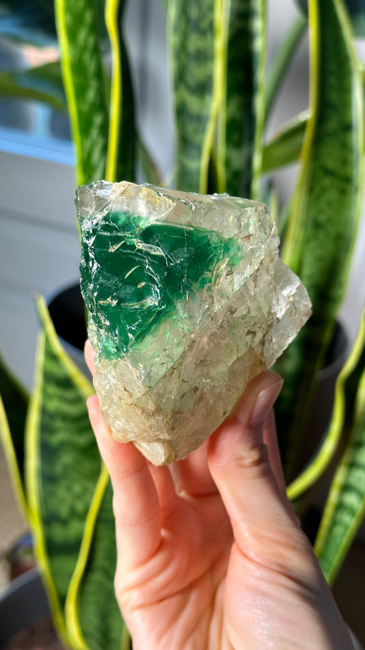 Green Phantom Yttrium Fluorite. Peñas Blancas Mine (LOT: GF-179)