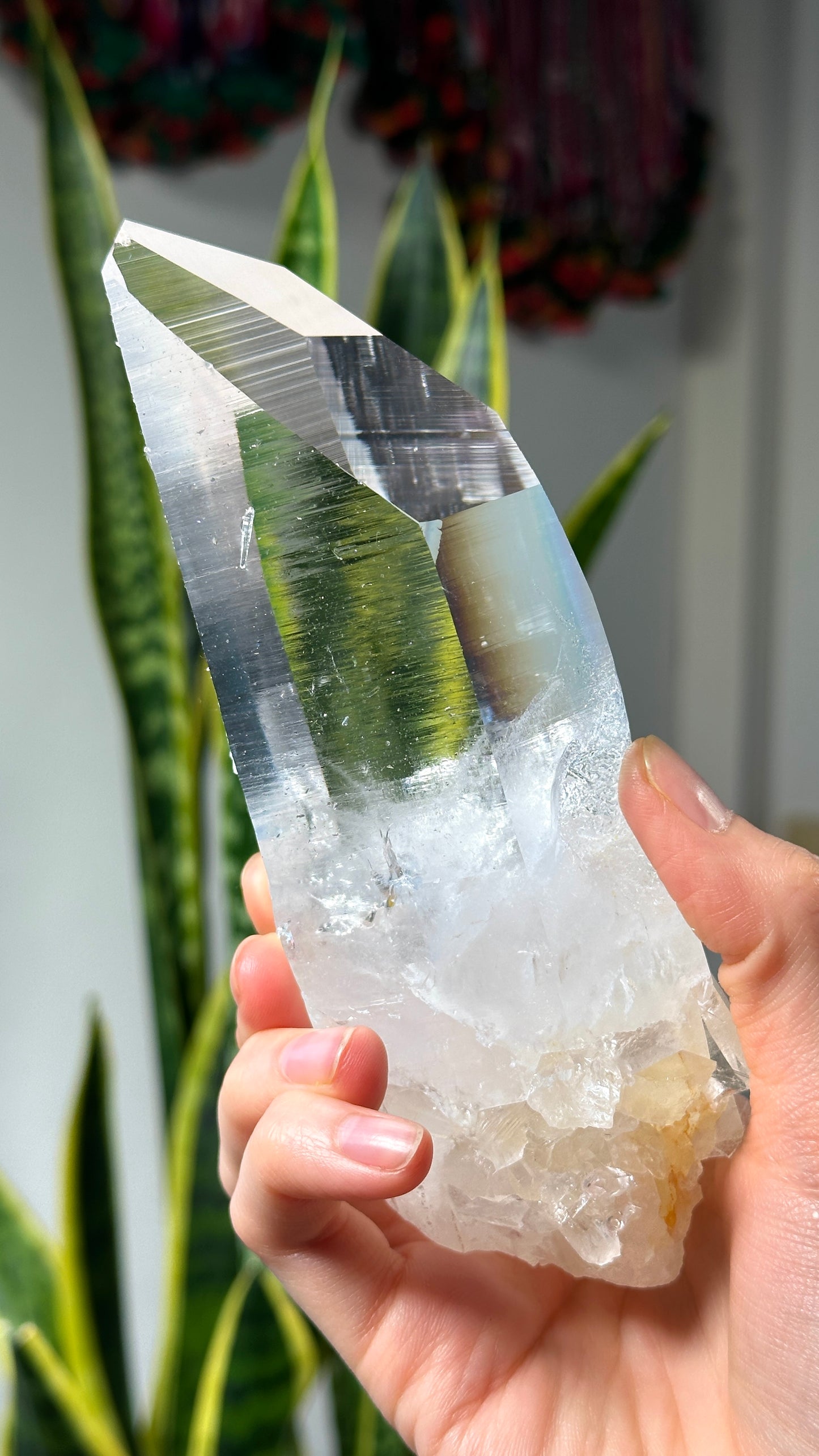 Master Peñas Blancas Lemurian Quartz Sword of Light, New Pocket! (lot: CO-91)