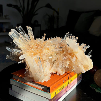 ゴールデンヒーラーニードル レムリアンクォーツクラスター コレクター標本（ロット：LC-241）