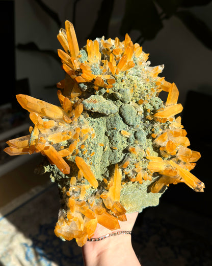 超レア！ゴールデンヒーラーグリーンレムリアンクォーツクラスターコレクター標本（ロット：CO-258）