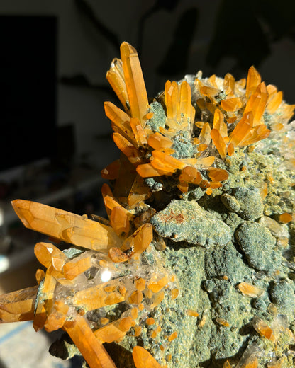 超レア！ゴールデンヒーラーグリーンレムリアンクォーツクラスターコレクター標本（ロット：CO-258）
