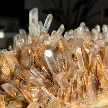 ゴールデンヒーラーニードルレムリアンクォーツクラスター卸売（ロット：LC-249）