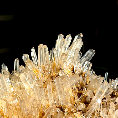 ゴールデンヒーラーニードル レムリアンクォーツクラスター コレクター標本（ロット：LC-250）