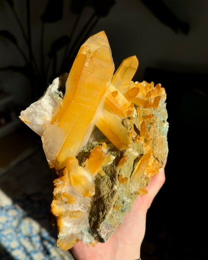 超レア！ゴールデンヒーラーグリーンレムリアンクォーツクラスターコレクター標本（ロット：LC-252）