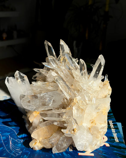 レーザーゴールデンヒーラー レムリアンクォーツクラスター（緑泥石含有）卸売（ロット：LC-435）