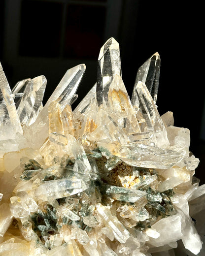 レーザーゴールデンヒーラー レムリアンクォーツクラスター（緑泥石含有）卸売（ロット：LC-435）