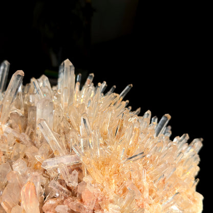 ゴールデンヒーラーニードル レムリアンクォーツクラスター 卸売 (ロット: LC-254)