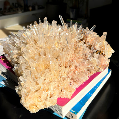 ゴールデンヒーラーニードル レムリアンクォーツクラスター 卸売 (ロット: LC-254)