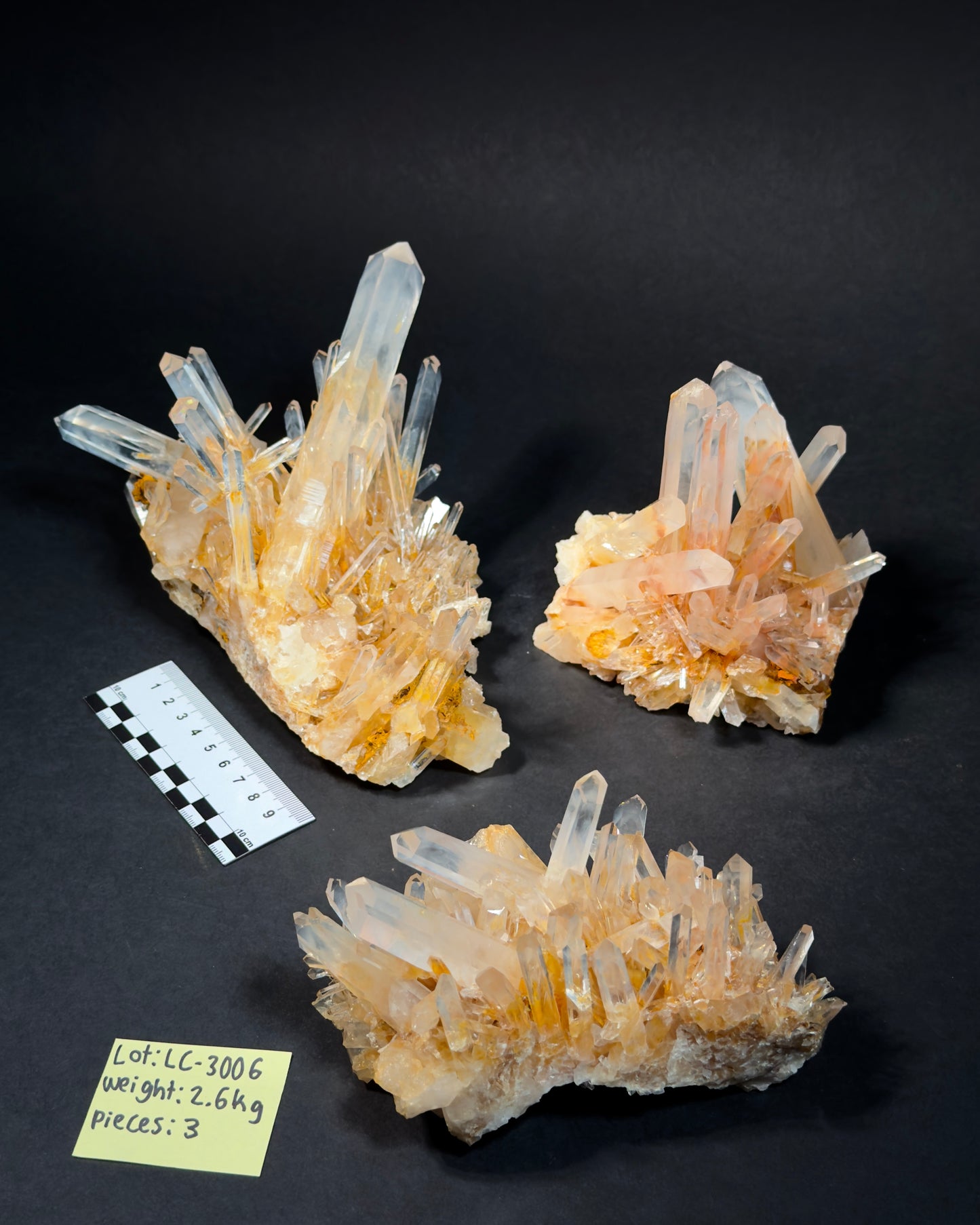 LC-3006 + BS-3000 WHOLESALE LOTS FREE SHIPPING