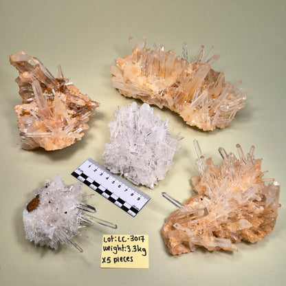 NEEDLE LEMURIAN QUARTZ CRYSTAL CLUSTERS (LC-3017) | WHOLESALE LOT | MIXED SIZE