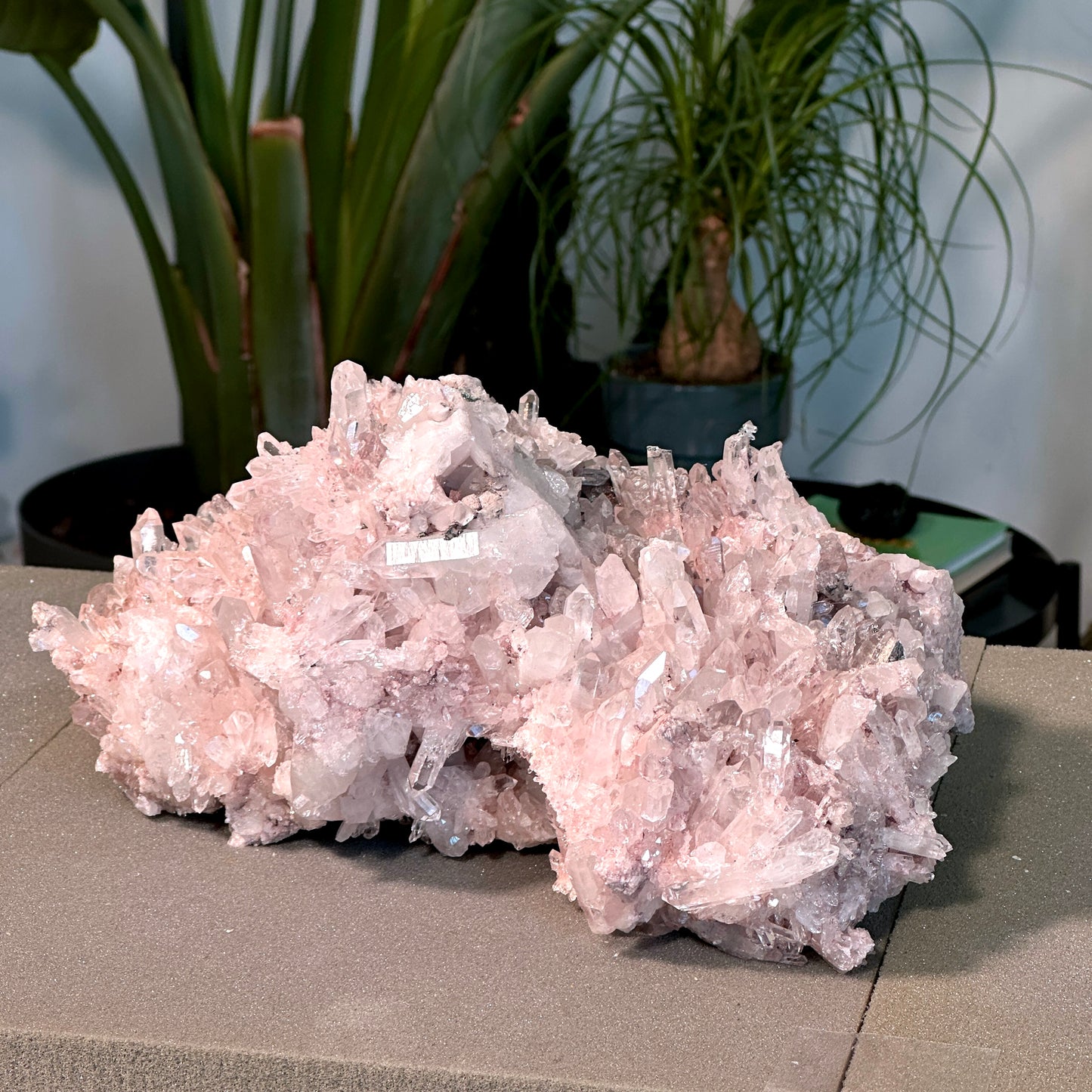 ピンクレムリアンクォーツクラスター（P-）プランティラ
