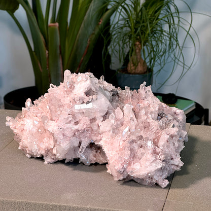 ピンクレムリアンクォーツクラスター（P-）プランティラ