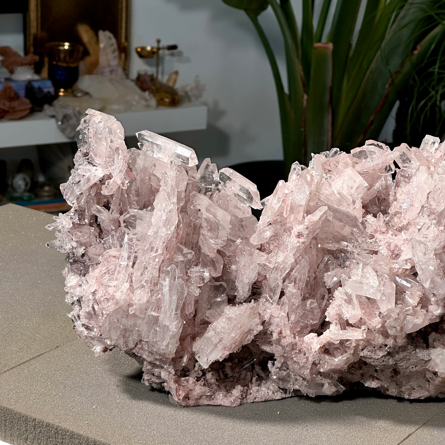 ピンクレムリアンクォーツクラスター（P-）プランティラ