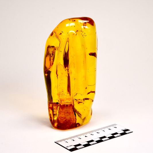 Top Quality Amber (AM-3007) | Wholesale lot | 340g x1 | Large Size