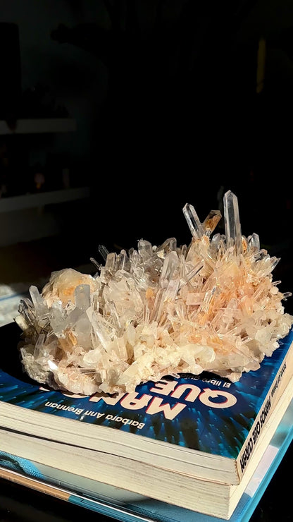 ゴールデンヒーラーニードル レムリアンクォーツクラスター 卸売 (ロット: LC-253)