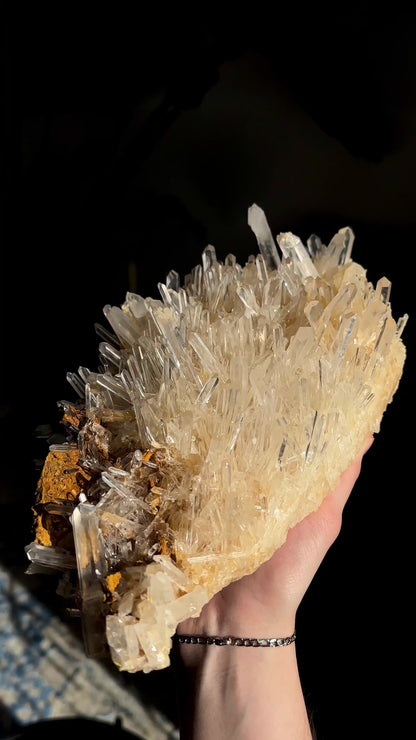 ゴールデンヒーラーニードル レムリアンクォーツクラスター コレクター標本（ロット：LC-251）