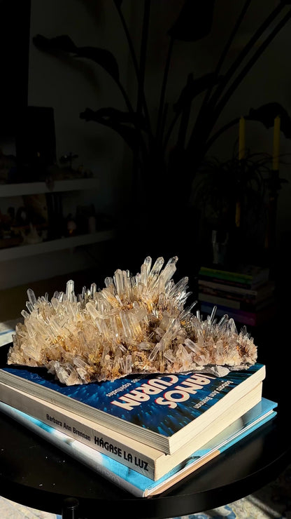 ゴールデンヒーラーニードル レムリアンクォーツクラスター コレクター標本（ロット：LC-250）