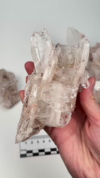 Pink Lemurian Quartz Clusters Medium size (P-1193) 1485g x5