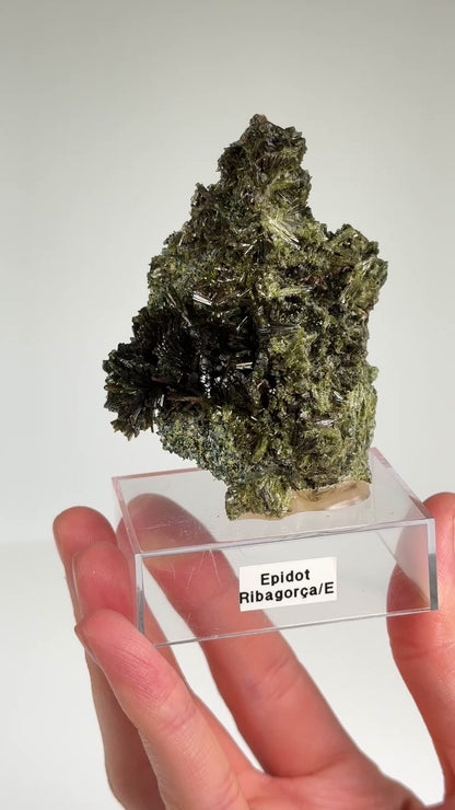 Green Epidote Fan Clusters from Spain Extra high quality specimens WHOLESALE (EP-7) 454 g x2