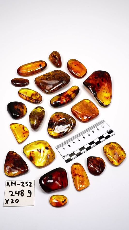 Hand Polished Amber WHOLESALE x20 pieces (AM-252)