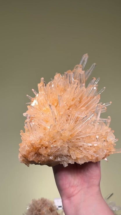 NEEDLE LEMURIAN QUARTZ CRYSTAL CLUSTERS (LC-3009) | WHOLESALE LOT | MIXED SIZE