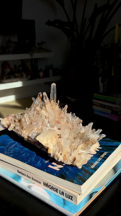 ゴールデンヒーラーニードル レムリアンクォーツクラスター 卸売 (ロット: LC-253)