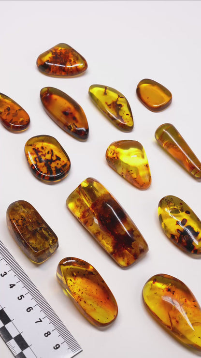 COLOMBIAN AMBER (AM-3019) | WHOLESALE LOT | SMALL SIZE 130g x13