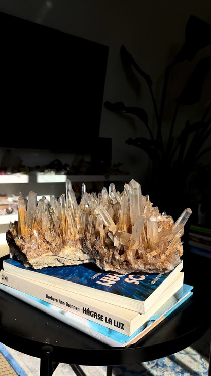 ゴールデンヒーラーニードルレムリアンクォーツクラスター卸売（ロット：LC-249）