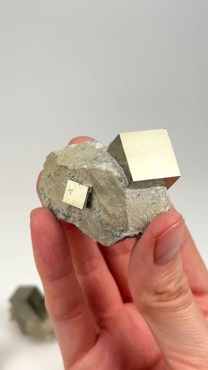 Cubic Pyrite on Matrix (Limestone), Navajun Spain Extra High Quality (PY-129A) 572 g x10